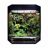 Terrarium